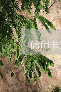 信用卡逾期 出国打工了 信用卡逾期 出国打工了